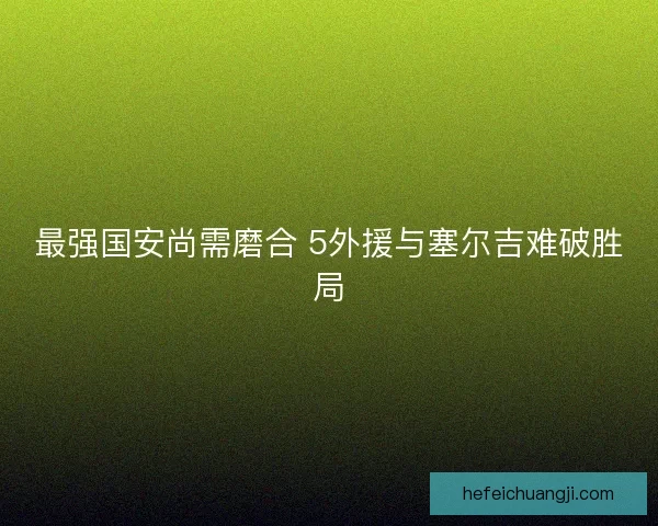 最强国安尚需磨合 5外援与塞尔吉难破胜局