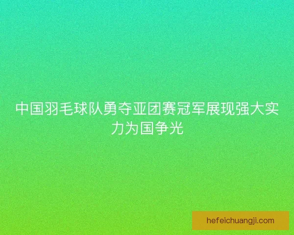 中国羽毛球队勇夺亚团赛冠军展现强大实力为国争光