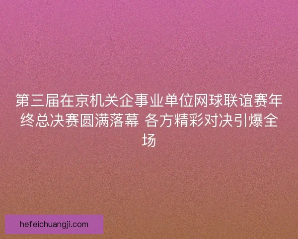 第三届在京机关企事业单位网球联谊赛年终总决赛圆满落幕 各方精彩对决引爆全场