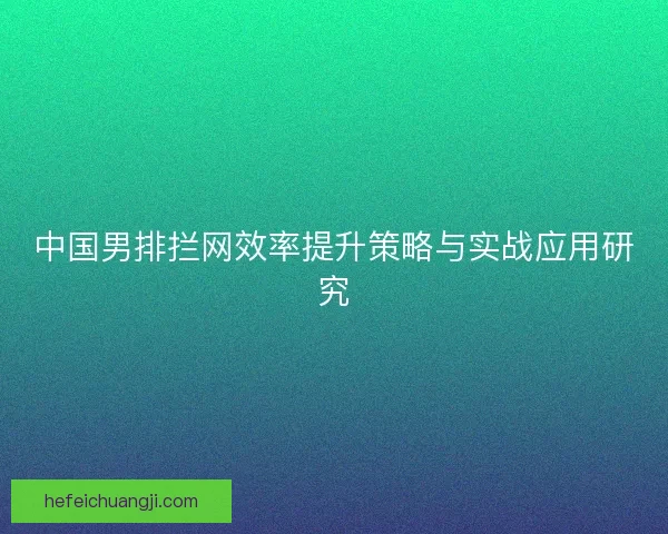 中国男排拦网效率提升策略与实战应用研究