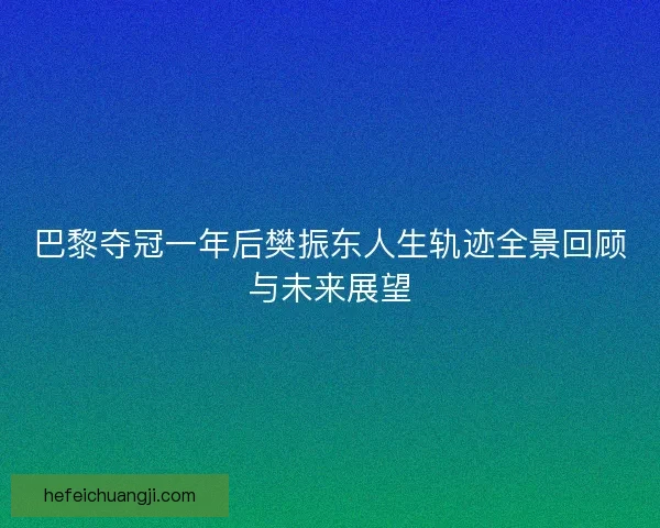 巴黎夺冠一年后樊振东人生轨迹全景回顾与未来展望